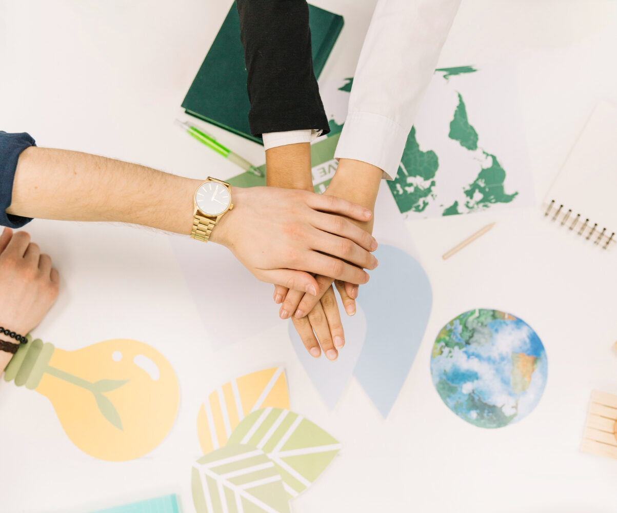 phát triển bền vững Tota Paint